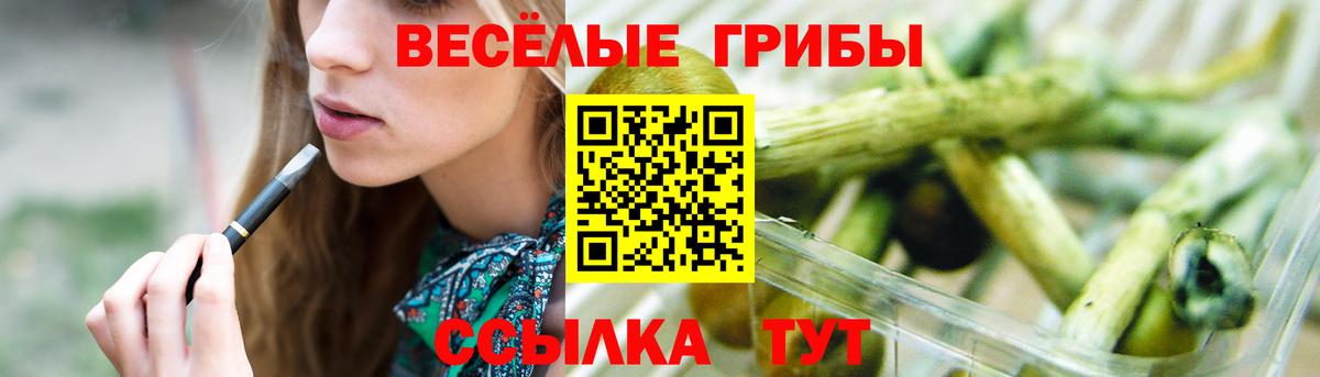 Аша  Псилоцибиновые грибы мицелий  Вход с VPN 